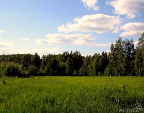 Участок 75 км от МКАД по Симферопольскому шоссе.