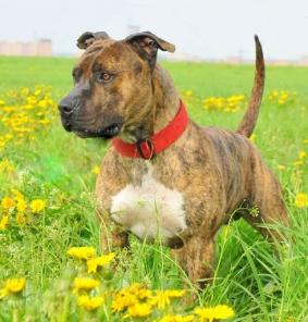 �������� ������� ��� �����, � ���, � ������ ����.