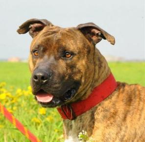 �������� ������� ��� �����, � ���, � ������ ����.