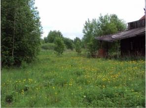 Продается земельный участок, с/т "Зверево", Киевское ш., 35 км от МКАД
