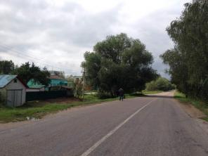 Ярославское или Дмитров. ш 100 км от мкад 30 сот