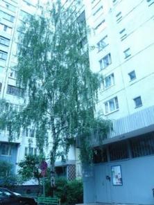 Свободная квартира у Строгинского затона
