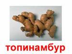 Свежие клубни топинамбура