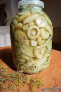 Грузди соленые