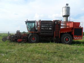 Holmer