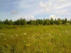 Участок 10 сот., 58 км по Новорязанскому шоссе