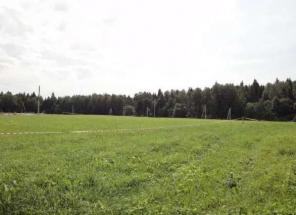 Участок 8 сот., в 47 км от МКАД по Новорязанскому шоссе