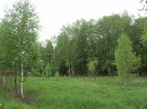 Участок 18 сот., Ленинградское ш., 38 км от МКАД