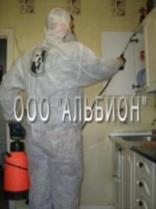 Быстро избавим от насекомых и грызунов