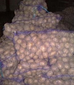 Картофель в сетках по 35кг из Удмуртии
