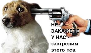 Создание сайтов в Красноярске, услуги системного администратора, программист 1с