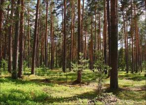 Участки с коммуникациями без подряда