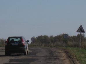 Ярославское направление участок для питомника.