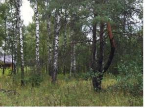 Продаю участок г. Раменское, Восточная Гостица