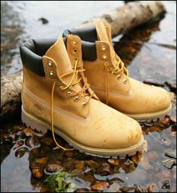  Timberland 6 inch Waterproof Boot 