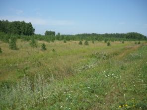 Продаю участок земли под строительство