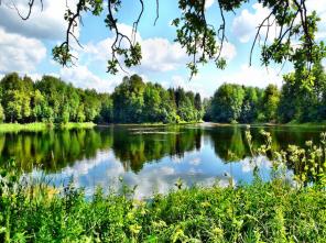 Продаю 27 соток на Кипенском озере, Красное Село, на 10 км от Санкт-Петербурга