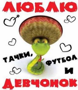 Футболки с эксклюзивными принтами и символом 2013!