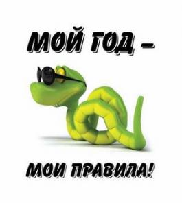 Футболки с эксклюзивными принтами и символом 2013!