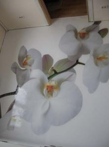 ���������� �������� 3D ����