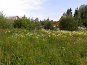 Продам участок в Клинском районе