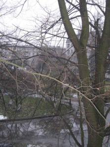 Отл. кв. , рем. 1год, рядом метро и центр города