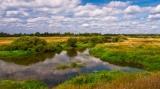 Участок 6 соток под дачу Ногинский район