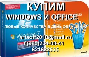  MS Office   