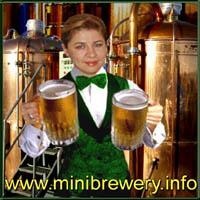 Microbrewery Techimpex - Минипивзавод