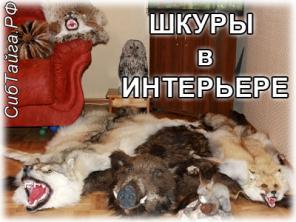 Шкура медведя, шкура волка, чучела-меховая мастерская "Сибирская тайга"