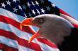 Тур в США из Ростова-на-Дону. Бизнесс поездки в США. Виза в США.