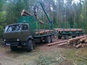 Лесовоз - сортаментовоз на базе КАМАЗ -4310 с прицепом МАЗ.8 метров.