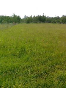 Продам земельный участок 12 соток в д. Всеволодово