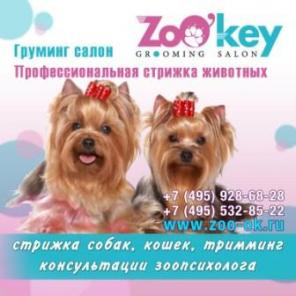  ,       ,      ZoO"key! !