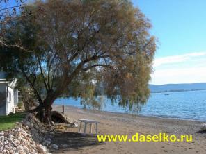 �������� �� ������ ���� � ������.