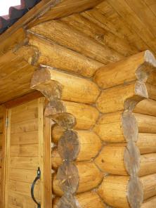 ���� �� ����� ��� ����