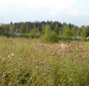 Земельный участок . Лучшая цена