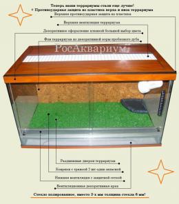 Купить террариум для черепахи