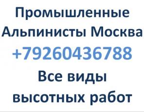 ������� ������ �� ������. �������� �����. Msk