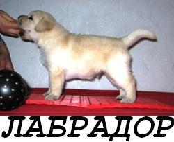  ==,  .  ==.  24  2012 . /  / /