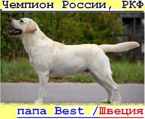  ==,  .  ==.  24  2012 . /  / /
