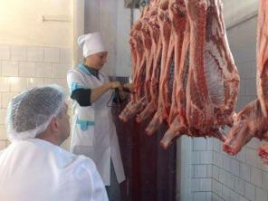 Продаю действующий бизнес в Москве (новой)