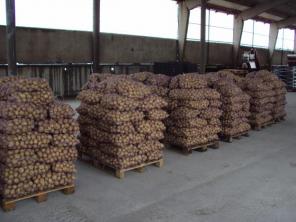 продам фермерское хоз-во