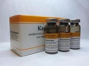 Карипазим. Папаин. Аптека НИИ им Бурденко.