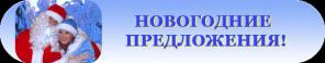 Новый год в Подмосковье