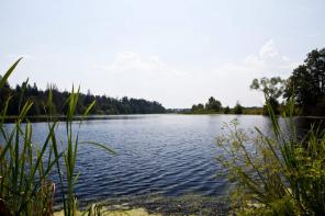 Участок, ИЖС, два озера, лес, 39 км Минское ш.