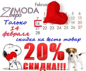 Только 14 февраля скидка 20% на весь товар