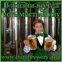 Мини пивоварня от Techimpex Microbrewery.