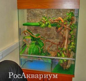Купить террариум для игуаны