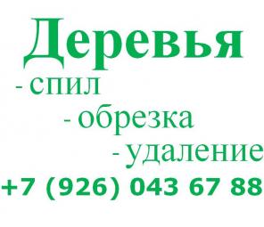 Удалить дерево Москва. Валка деревьев. Обрезка деревьев. Москва